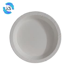 Eco Friendly paper plates
