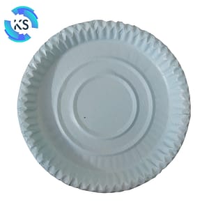 Blue Paper Plate